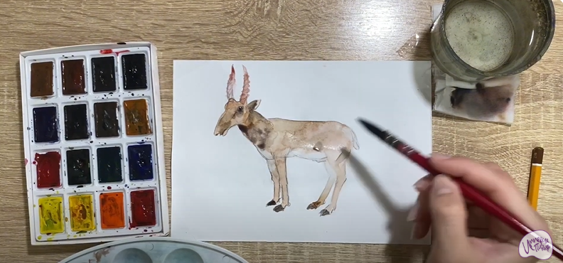 Рисуем Сайгак