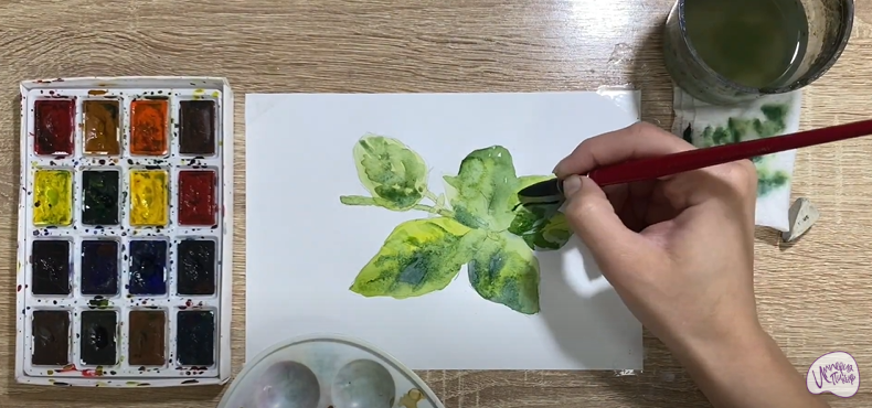 Рисуем Базилик