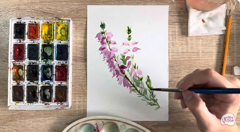 Рисуем Вереск