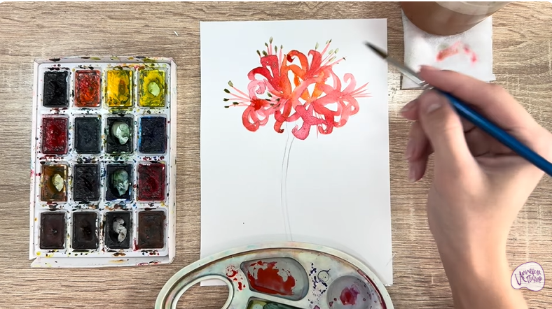 Рисуем Ликорис