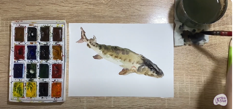 Рисуем Стерлядь