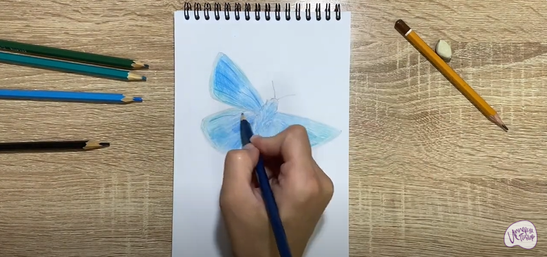 Рисуем Бабочка "Голубянка"