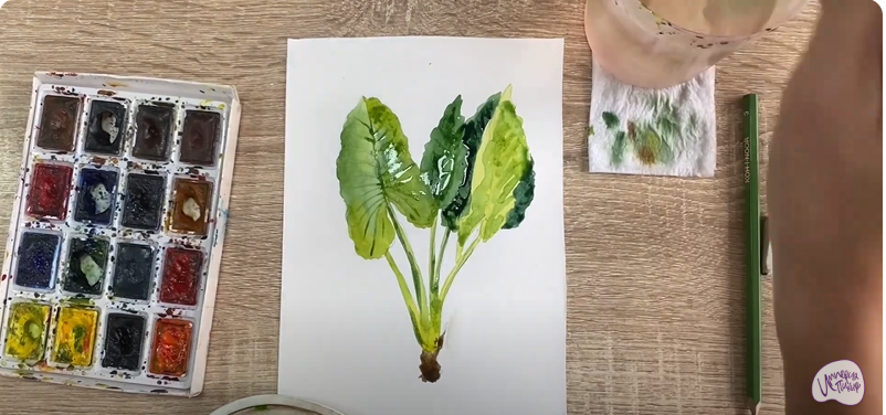 Рисуем Алоказия
