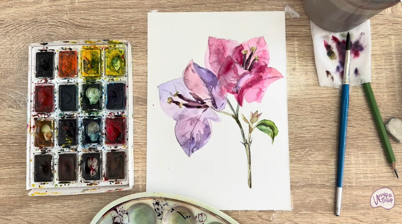 Рисуем Бугенвиллея