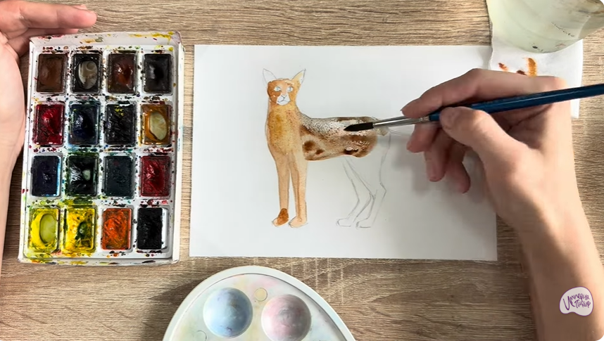 Рисуем Кошка "Чаузи"