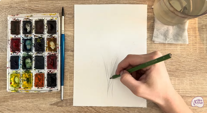 Рисуем Багрянник японский