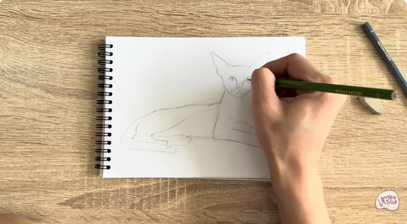 Рисуем Ориентальная кошка