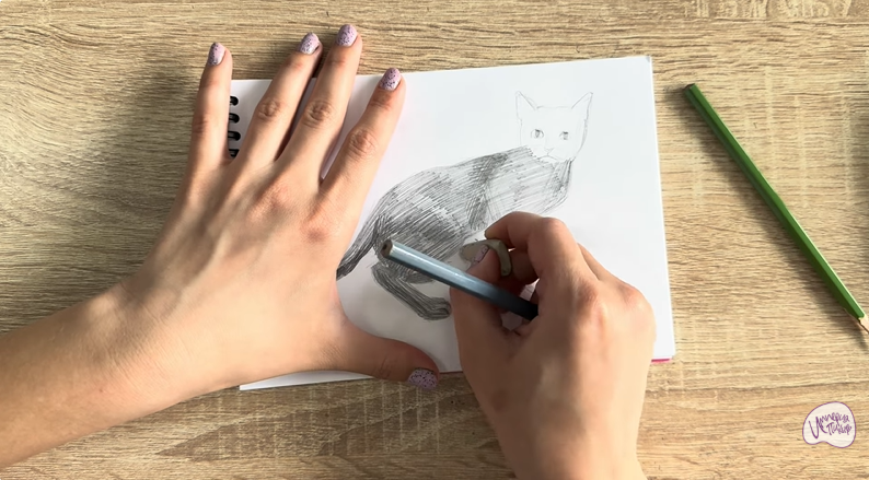 Рисуем Бомбейская кошка