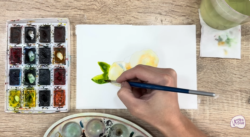 Рисуем Макадамия