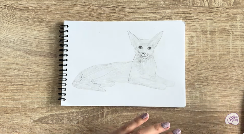 Рисуем Ориентальная кошка