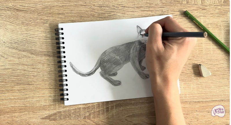 Рисуем Бомбейская кошка