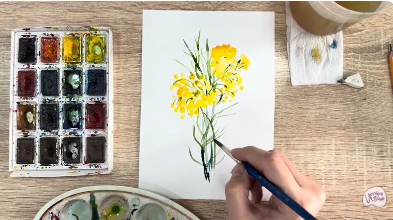 Рисуем Бессмертник