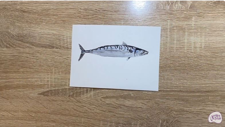 Рисуем Скумбрия