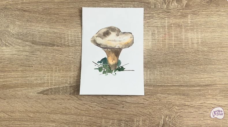 Рисуем Свинушка тонкая