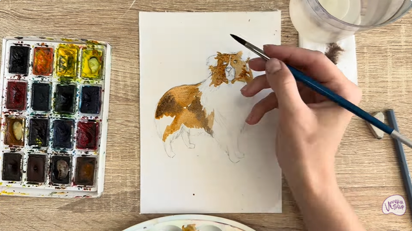 Рисуем Собака породы Шелти