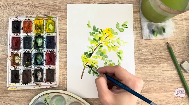 Рисуем Ветка караганы