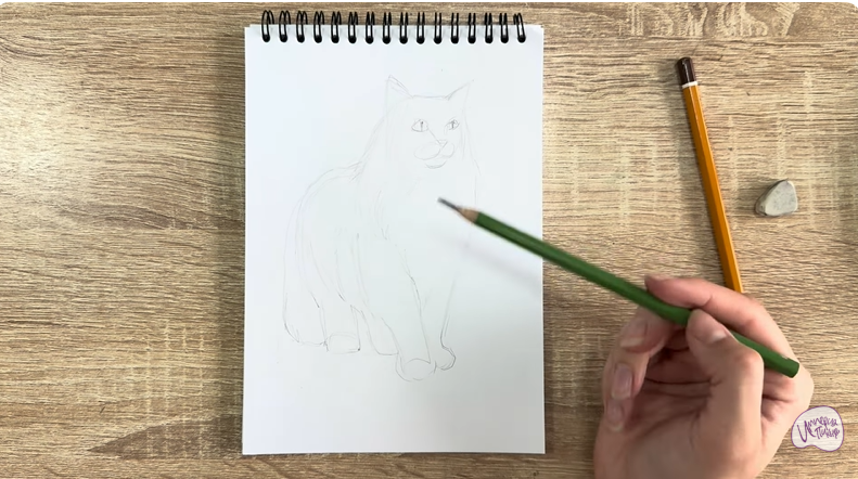 Рисуем Норвежский лесной кот