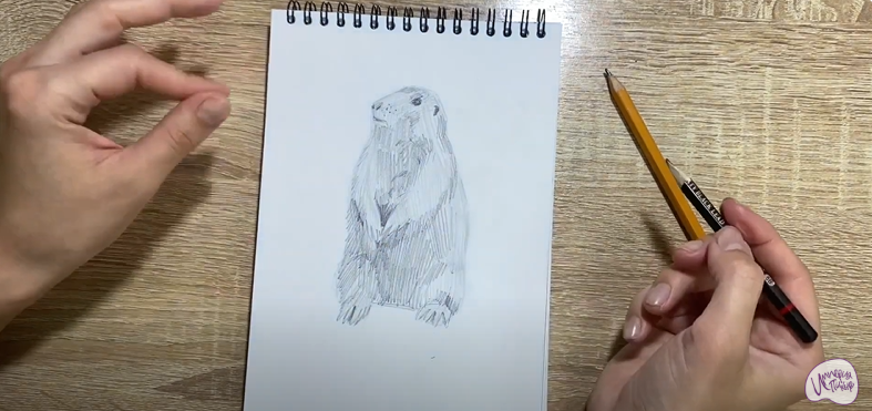 Рисуем Суслик