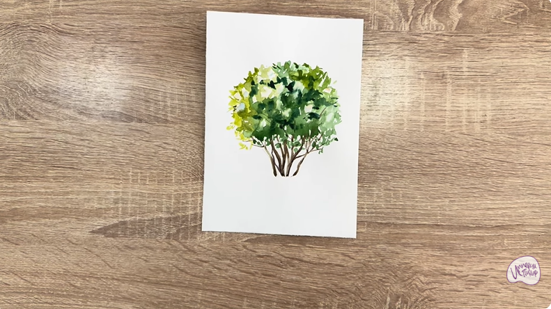 Рисуем Саженец бирючины