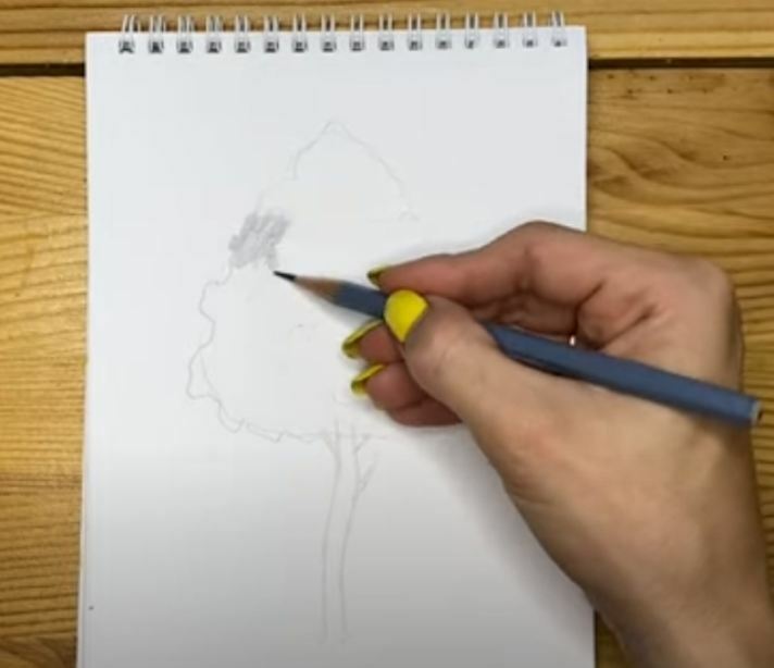 Рисуем Дерево простым карандашом