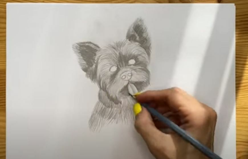 Рисуем Собака простым карандашом