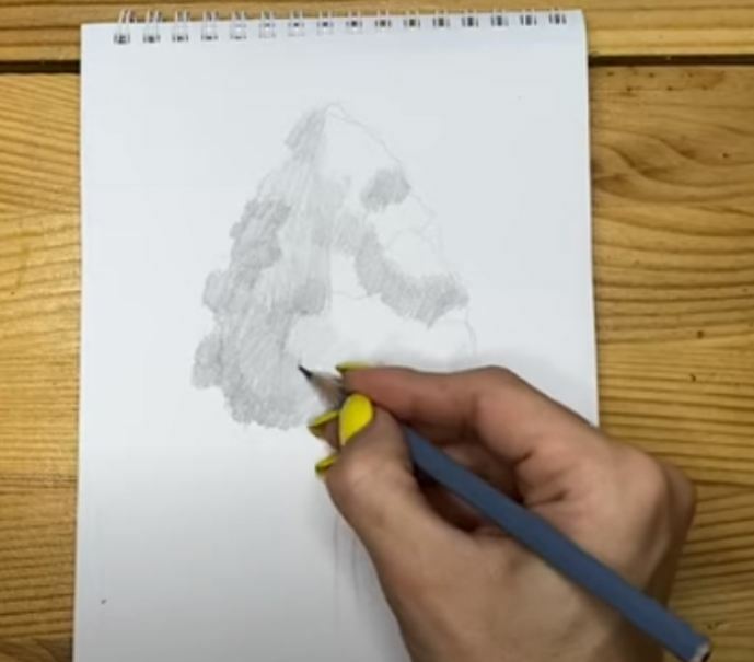 Рисуем Дерево простым карандашом