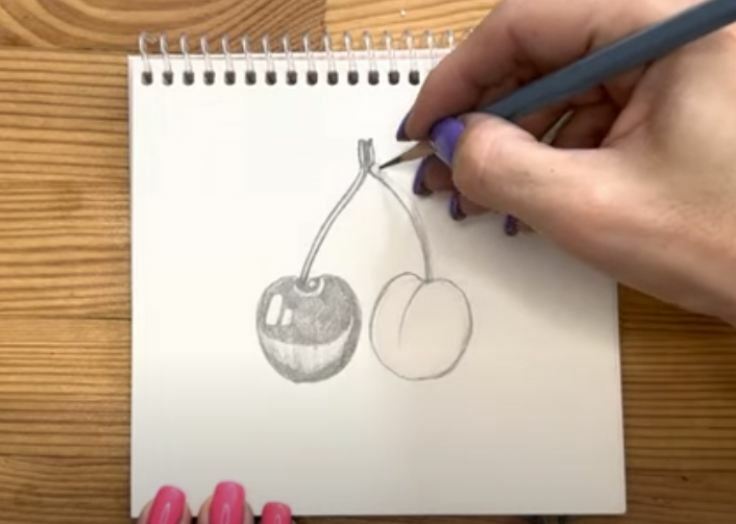 Рисуем Вишня простым карандашом
