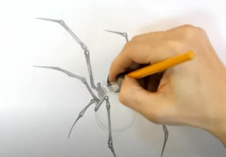 Рисуем Паук простыми карандашами
