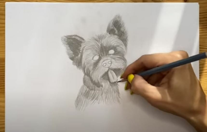 Рисуем Собака простым карандашом