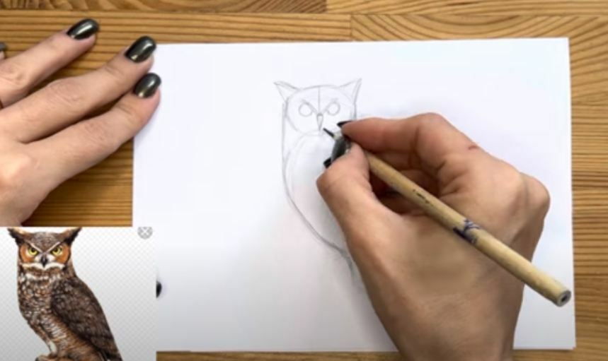 Рисуем Сова простым карандашом