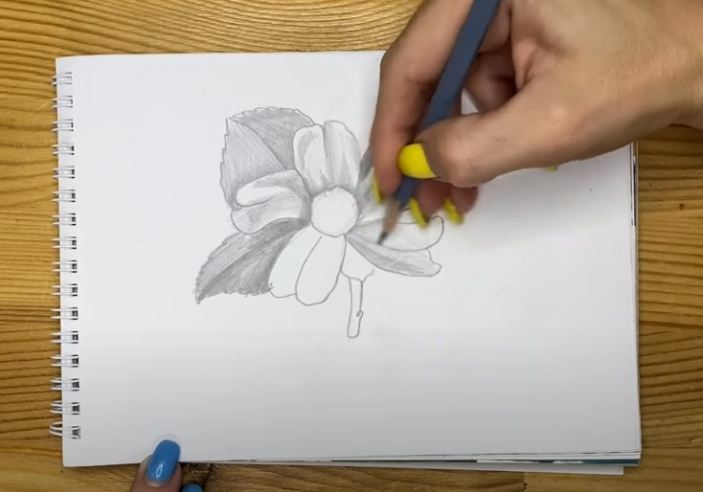 Рисуем Цветок простым карандашом