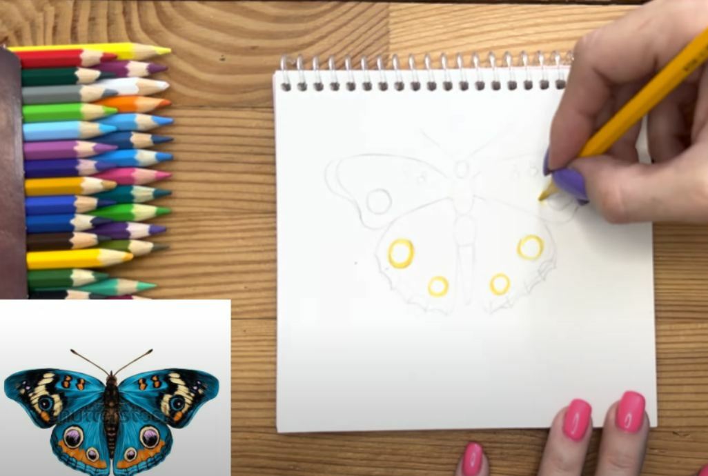 Рисуем Бабочка цветными карандашами