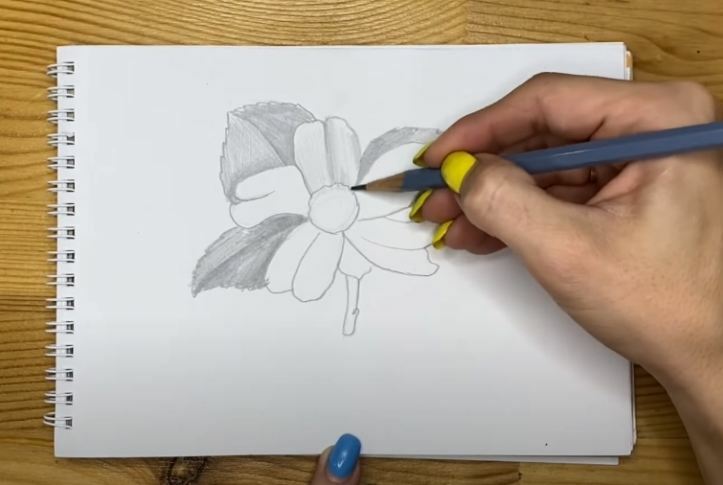 Рисуем Цветок простым карандашом
